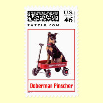 Doberman Pinscher Postage Stamp by dogart Doberman Pinscher Postage Stamp