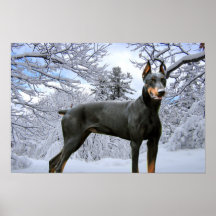 Doberman Pinscher Print