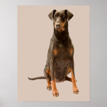 Doberman Pinscher Print