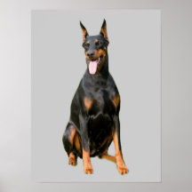 Doberman Pinscher Print