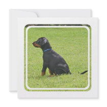 Doberman Pinscher Puppy Invitation