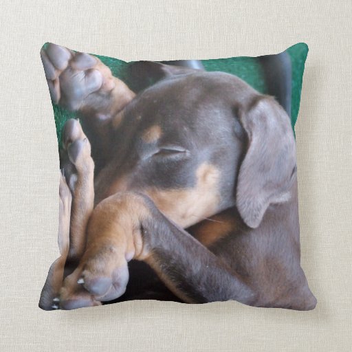 doberman pillow