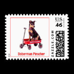 Doberman Pinscher Puppy Stamps