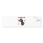 Doberman Pinscher (red) History Design Bumper Sticker