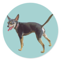 Doberman Pinscher stickers