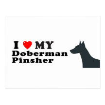 Doberman Pinsher Post Card