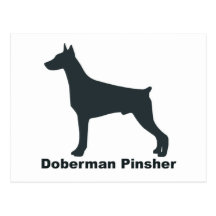 Doberman Pinsher Post Cards