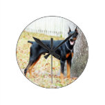 Doberman Pisncher Clock wall clocks