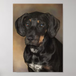 Doberman Portrait Poster