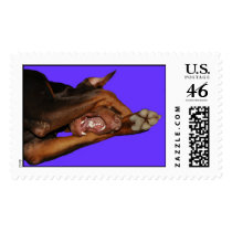 Doberman postage by wolfmountainstudio Doberman postage