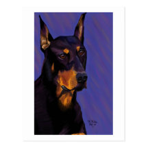 Doberman postcard