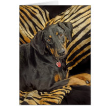 Doberman Pound Puppy Card