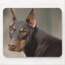 Doberman Protection mousepads