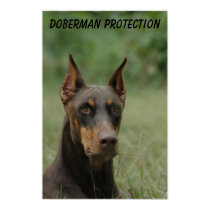 Doberman Protection posters by wolfmountainstudio Doberman Protection posters