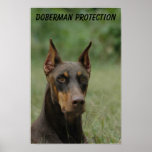 Doberman Protection Print