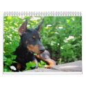 Doberman Puppy Calendar by familydobes Doberman Puppy Calendar