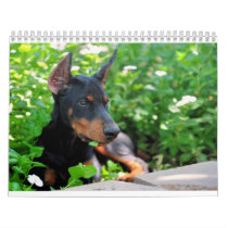 Doberman Puppy Calendar by familydobes Doberman Puppy Calendar