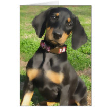 Doberman Puppy (version 5-3) Card