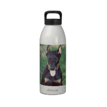 Doberman puppy water bottle
