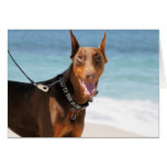 Doberman - Red - Bad to the Bone Cards
