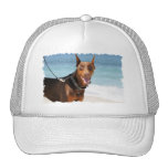 Doberman - Red - Bad to the Bone Hat