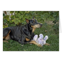 Doberman Rescue "Capone" Card