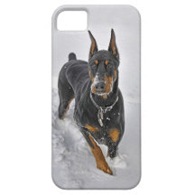Doberman Rescue Expert Snowball Catcher iPhone 5 Case