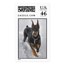 Doberman Rescue Expert Snowball Catcher Stamp