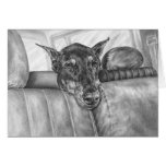 Doberman Riding in Car Drawing by Kelli Swan cards