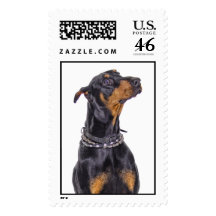 Doberman Sneaky Look Stamp