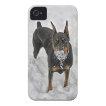 Doberman Snow Cone iPhone 4 Cover