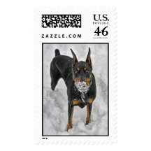 Doberman Snow Cone Stamp