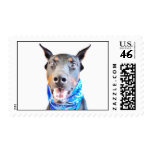 Doberman Stamp stamps