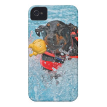 Doberman Swimming iPhone 4 Case-Mate Cases