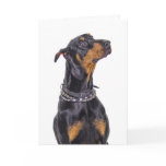 Doberman With Sneaky Look Who Me? cards