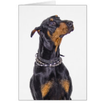 Doberman With Sneaky Look Who Me? Greeting Card