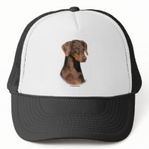 Dobermann 9Y381D-162 hats by TraffordPhotos Dobermann 9Y381D-162 hats