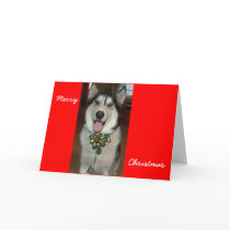 Doc cards by BlueSara Doc cards