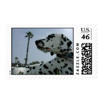 Doc postage