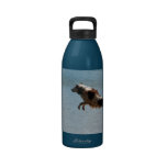 Dock diving border collie water bottle water bottles