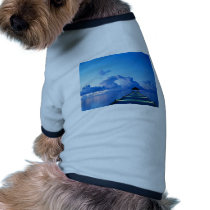Dock pet clothing