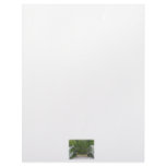 Dock leading into green mangrove stand letterhead