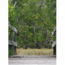 Dock leading into green mangrove stand photo sculptures