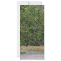 Dock leading into green mangrove stand customized rack card