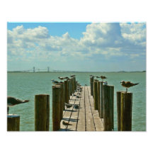 Dock of Gulls Photo Enlargement