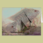 Dock of The Bay cards