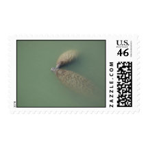 Dock View 2 [Kissing] Postage