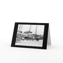 Dock Workers in Hong Kong 1908 cards