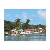 Docked Boats Antigua Post Card