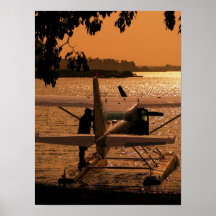 Docking 206 poster